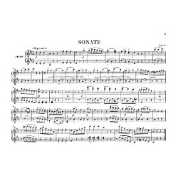 Ludwig van Beethoven: Works for Piano four-hands