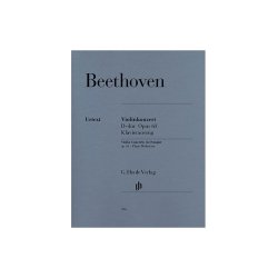 Ludwig Van Beethoven: Violin Concerto In D Op.61