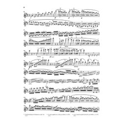Ludwig Van Beethoven: Violin Concerto In D Op.61