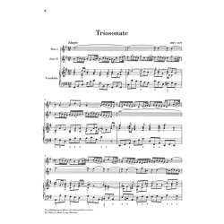 Johann Sebastian Bach: Triosonate Fur Zwei Floten Und Continuo