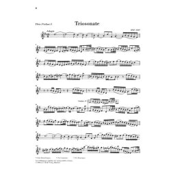 Johann Sebastian Bach: Triosonate Fur Zwei Floten Und Continuo
