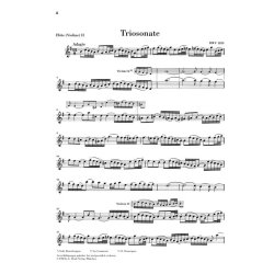 Johann Sebastian Bach: Triosonate Fur Zwei Floten Und Continuo