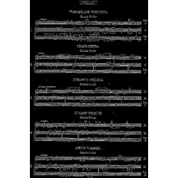 Bohemian Violin Sonatas Volume I