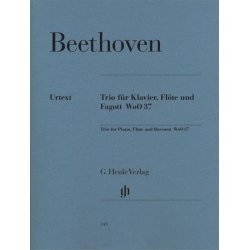 Ludwig Van Beethoven: Trio For Piano, Flute And Bassoon WoO 37