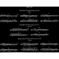 Robert Schumann: Works for Organ or Pedal Piano