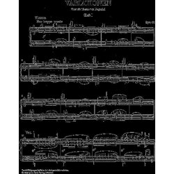 Johannes Brahms: Variationen Uber Ein Thema Von Paganini Op.35