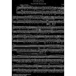 Franz Schubert: Piano Sonata In B Flat Major D 960