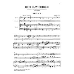 Franz Joseph Haydn: Piano Trios, Volume IV