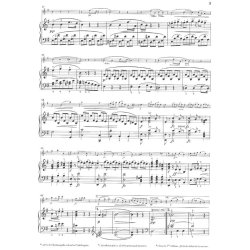 Antonn Dvork: Sonatina For Piano And Violin In G Op.100