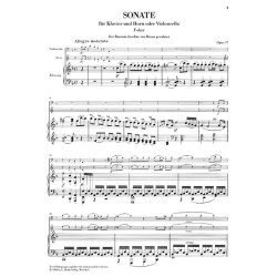 Ludwig van Beethoven: Works for Piano and one Instrument - Horn [Violoncello], Flute [Violin], Mandolin (with critical report)