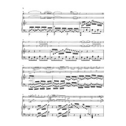 Ludwig van Beethoven: Works for Piano and one Instrument - Horn [Violoncello], Flute [Violin], Mandolin (with critical report)