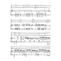 Ludwig van Beethoven: Works for Piano and one Instrument - Horn [Violoncello], Flute [Violin], Mandolin (with critical report)