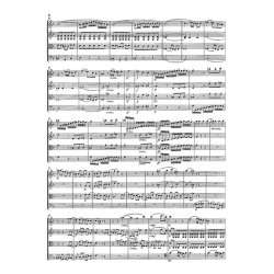 Ludwig Van Beethoven: String Quartets Volume 1 (Clothbound)