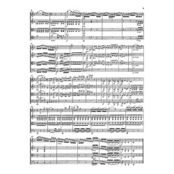 Ludwig Van Beethoven: String Quartets Volume 1 (Clothbound)