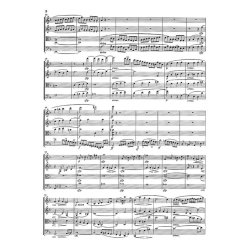 Ludwig van Beethoven: String Quartets op. 59, 74, 95, Volume II