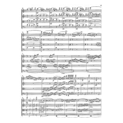 Ludwig van Beethoven: String Quartets op. 59, 74, 95, Volume II