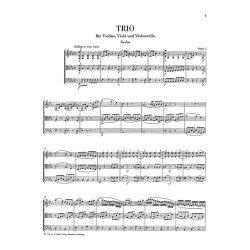 Ludwig van Beethoven: String Trios and String Duo
