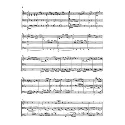 Ludwig van Beethoven: String Trios and String Duo