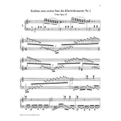 Ludwig van Beethoven: Cadenzas in the Piano Concertos