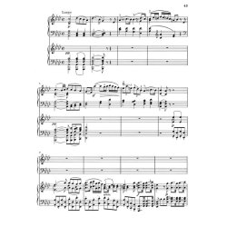 Beethoven: Concerto For Piano And Orchestra No.1 In C Op.15 (2 Pianos)