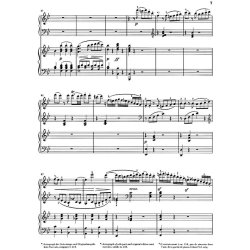 Beethoven: Concerto For Piano And Orchestra No. 2 B Flat Major Op.19 (2 Pianos)