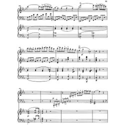 Ludwig van Beethoven: Concerto for Piano and Orchestra No. 3 c minor op. 37