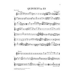 Franz Joseph Haydn: Quintett Fur Klavier, 2 Horner, Violine Und Violoncello