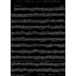 J.S. Bach: Partita A-Moll Flote Solo BWV 1013