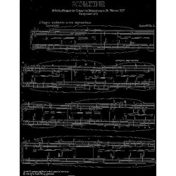 Max Reger: Sonatinas op. 89