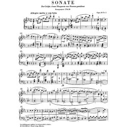 Ludwig Van Beethoven: Piano Sonata In C Minor, Op. 10, No. 1