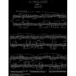 Alexander Scriabin: 24 Preludes Op.11