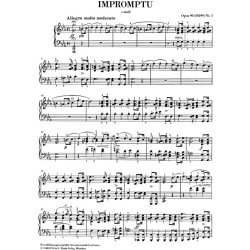Franz Schubert: Impromptu c minor op. 90,1 D 899