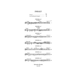 Franz Joseph Haydn: Sinfonias 1761-1763 (with critical report)