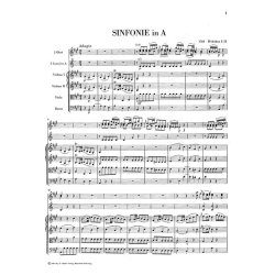 Franz Joseph Haydn: Sinfonias 1764 and 1765