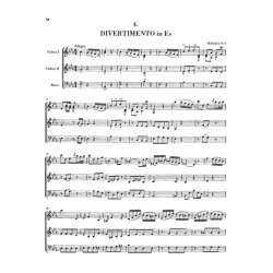 Franz Joseph Haydn: String Trios 1st sequence (with critical report)