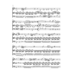 Franz Joseph Haydn: Barytone Trios No. 97 - 126