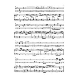 Franz Joseph Haydn: Piano Trios, 1st Volume