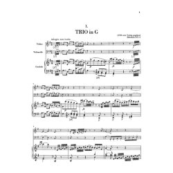 Haydn Pf Trios, 2nd Vol