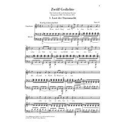 Robert Schumann: Twelve Poems Op. 35, Set Of Songs On Texts By Kerner (High/Medium Voice)