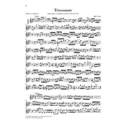 J. S. Bach: Trio Sonata In G BWV 1038