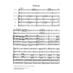 Franz Joseph Haydn: Die Feuersbrunst - Singspiel in two acts (with critical report)