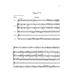 Franz Joseph Haydn: Die Feuersbrunst - Singspiel in two acts (with critical report)