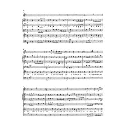 Franz Joseph Haydn: Die Feuersbrunst - Singspiel in two acts (with critical report)