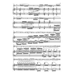 Saint-Sa&euml;ns: Violin Sonata No. 1 D Minor Op. 75