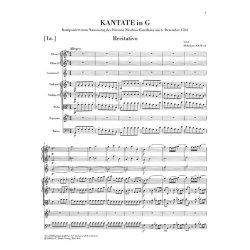 Franz Joseph Haydn: Cantatas with Orchestra for the Princes of Esterh&aacute;zy