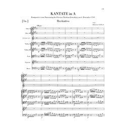 Franz Joseph Haydn: Cantatas with Orchestra for the Princes of Esterh&aacute;zy