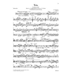 Alexander Zemlinsky: Clarinet Trios D Minor Op. 3 For Piano, Clarinet (Violin) And Violoncello