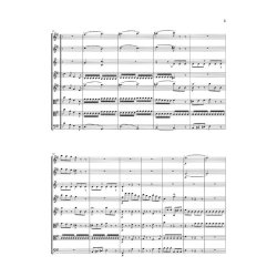 Franz Joseph Haydn: Divertimento G major Hob. II:9 for 2 Oboes, 2 Horns, 2 Violins, 2 Violas and Basso Continuo