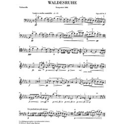Antonn Dvork: Waldesruhe Op.68 No.5