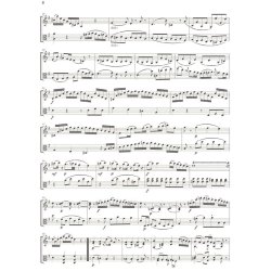 Wolfgang Amadeus Mozart: String Duos